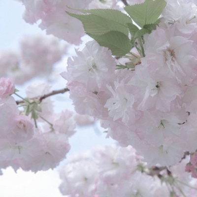 龙文FurryQQ群介绍